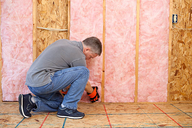 Best Garage Insulation Installation  in Spring Hill, TN